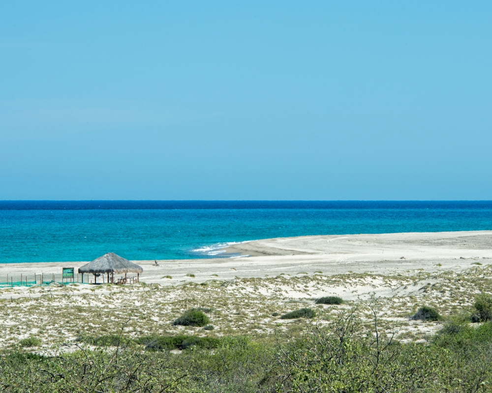 Cabo Pulmo National Marine Park