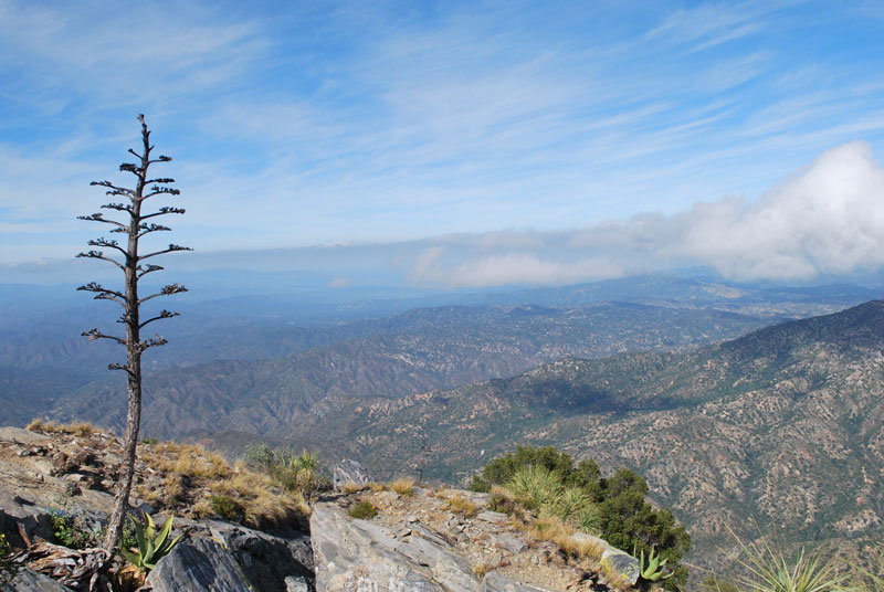 Sierra de la Laguna