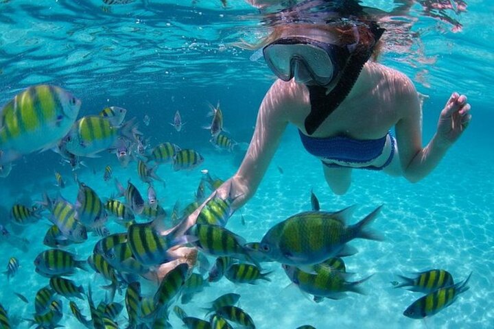 Snorkeling in Los Cabos Bays