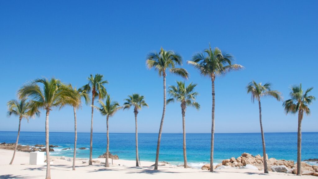 Cabo weather in January