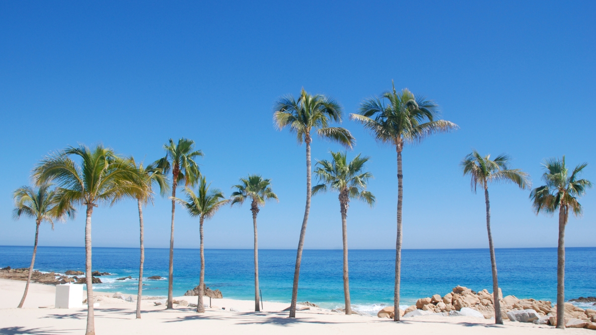 Cabo Weather in January: Overview and Guide