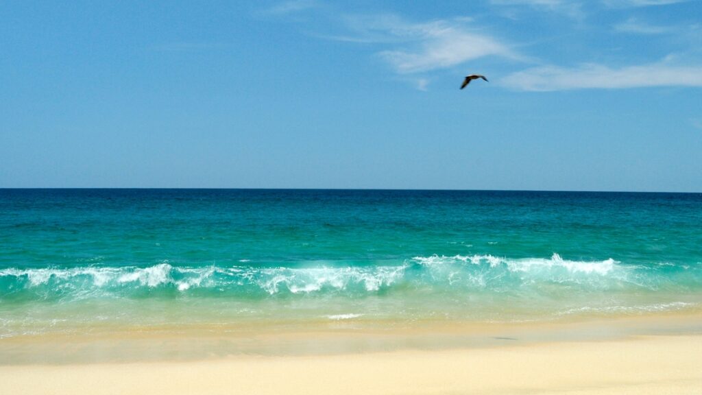 Panoramic view of Los Cabos beach in October
