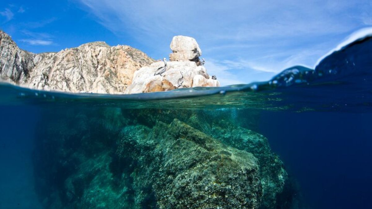 Pelican Rock Cabo San Lucas