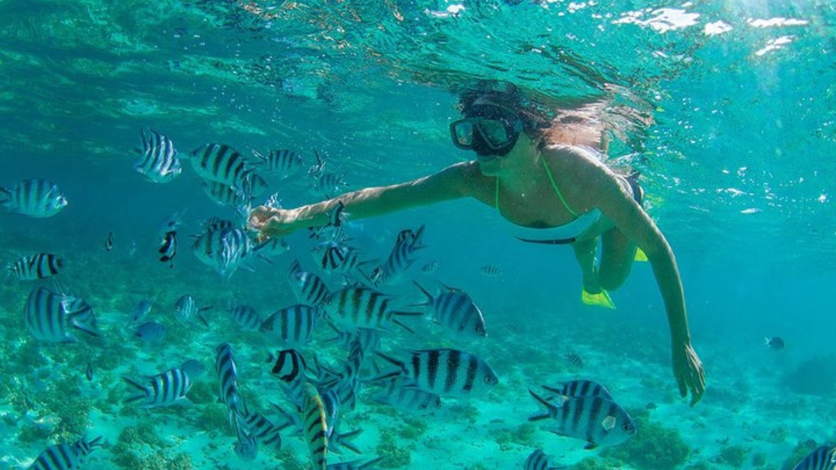 Cabo Pulmo Snorkel Expedition: Cabo Pulmo Snorkeling Tour