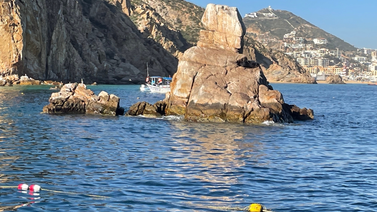 Pelican Rock Cabo Snorkeling Tour & Excursion